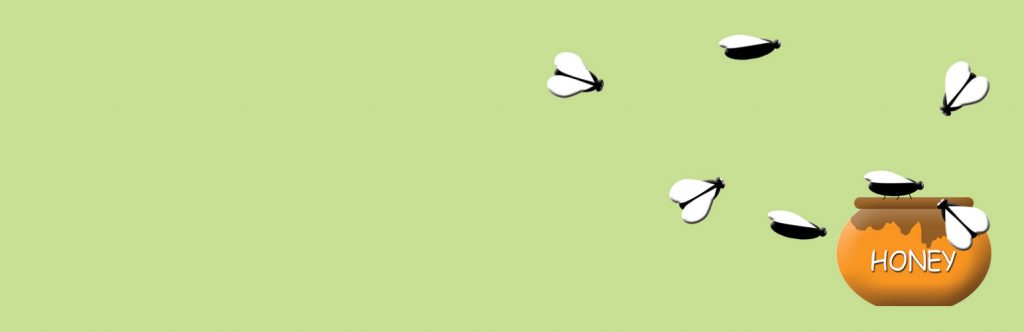 Bees flying around a honeypot